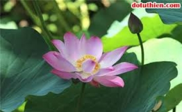 Càng sợ chết, càng chết nhanh